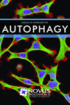 autophagy cover 2