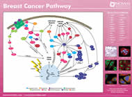 neurology poster