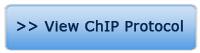 Chip Button