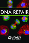 dna cover