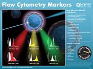 Flow Cytometry