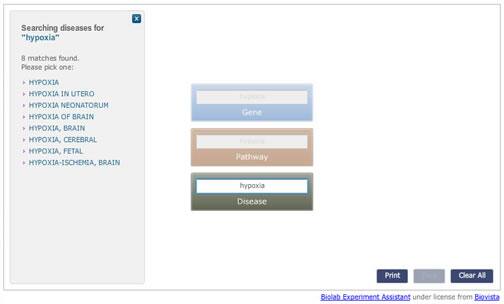 Novus Explorer 2 Novus Explorer will display terms matching your entry