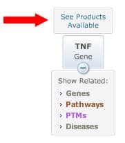 Novus Explorer 5 Novus Explorer dislpays the number of products available to a gene