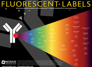 labels poster