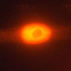 IF Image of Cleaved p25 PARP