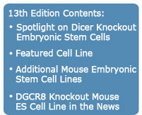 13 Edition Contents