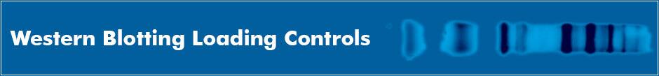 loading control