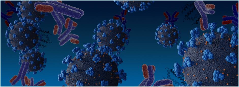 Antibodies and Proteins to support SARS-CoV-2 Research
