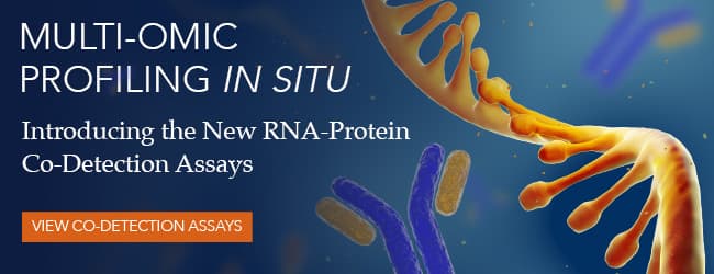 A multi-omics approach to understand the regulation and localization of RNA and protein in tissue.