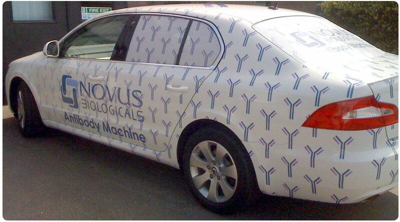 Novus Antibody Machine