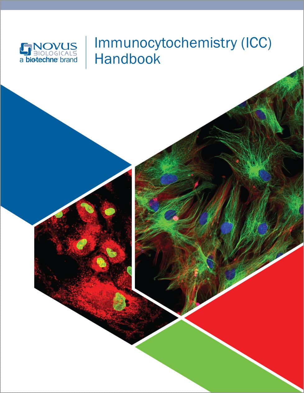 Immunocytochemistry (ICC) Handbook brochure
