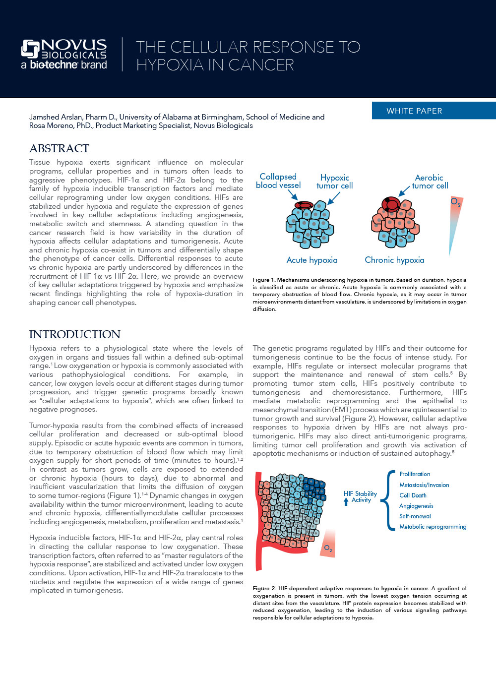 
			The Cellular Response to Hypoxia in Cancer White paper
