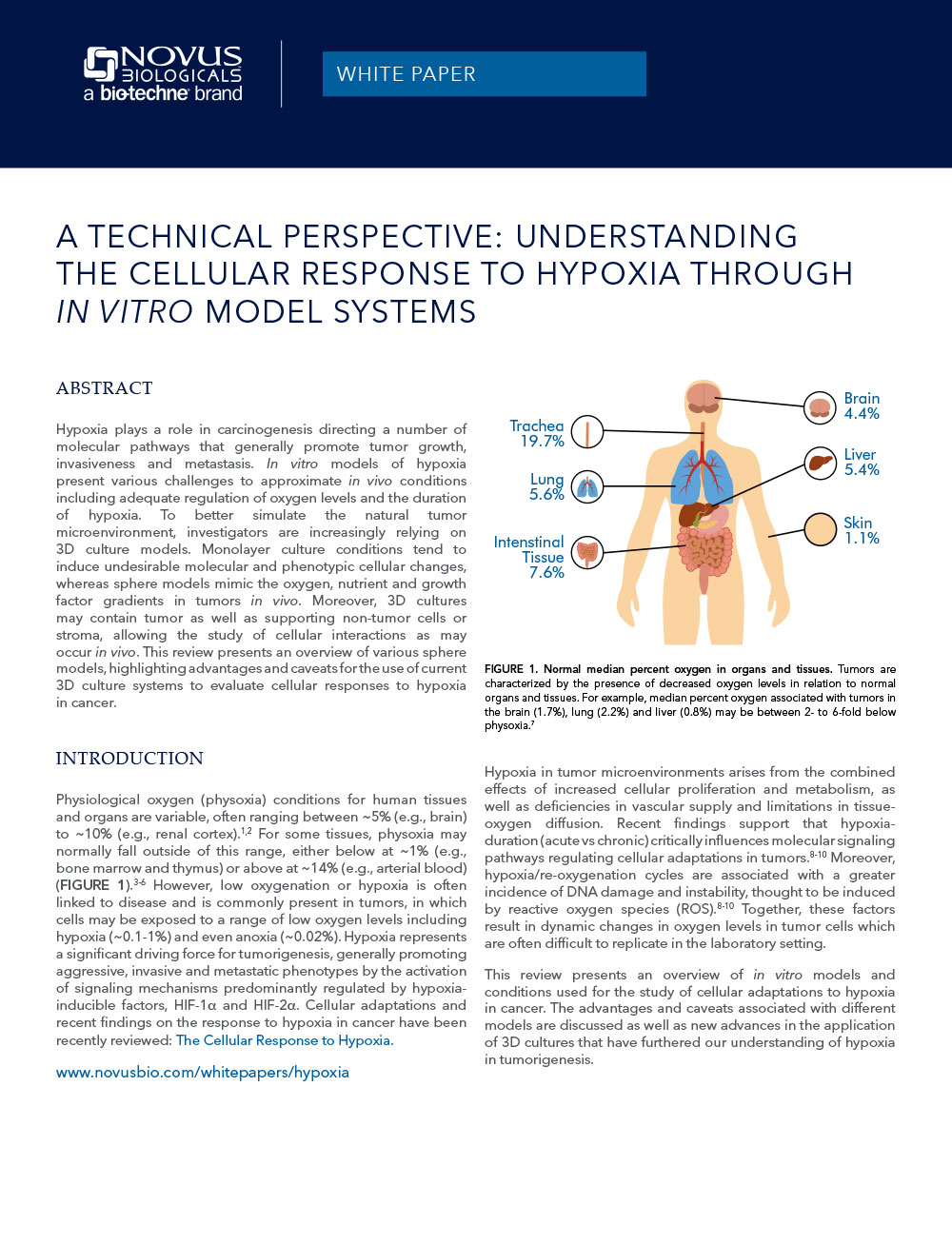
			A Technical Perspective: Understanding the Cellular Response to Hypoxia through In Vitro Model Systems White Paper
