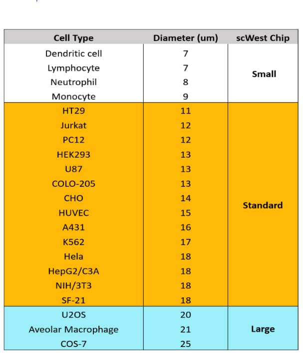 Size (μm) of common cell lines for Single-Cell Westerns using Milo