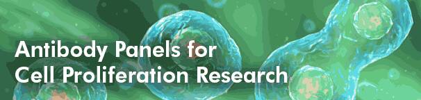Antibody Panels for Cell Proliferation Research