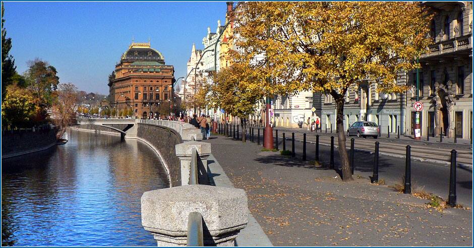 Novus Biologicals in Array