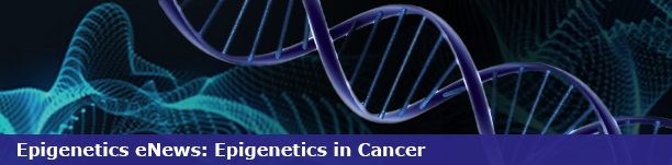 Epigenetics eNews: Epigenetics in Cancer