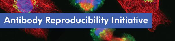 Novus Reproducibility Initiative