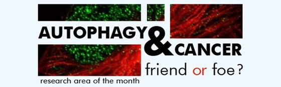 Autophagy and Cancer: Friend or Foe?