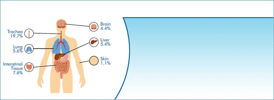 Hypoxia Signaling Novus Biologicals