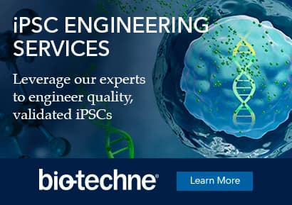 Image of stem cell with DNA inside illustrating the iPSC gene engineering services at Bio-Techne. Leverage our experts to engineer quality, validated iPSCs.