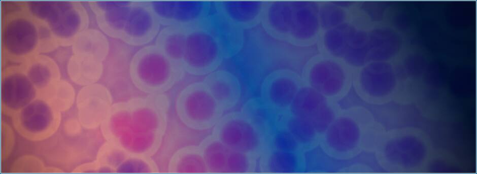 Hypoxia Signaling Novus Biologicals