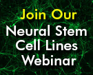 Webinar
