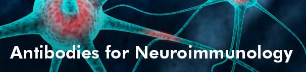 Antibodies for Neuroimmunology