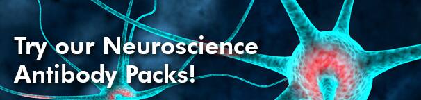 Try our Neuroscience Antibody Packs