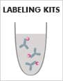 Lightning Link Antibody Labeling Kits