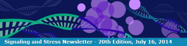 Signaling and Stress Newsletter
