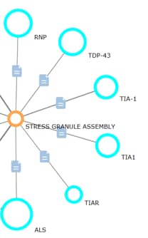 Explore stress granule pathway with Laverne bioinformatics tool