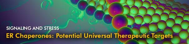 Signaling and Stress