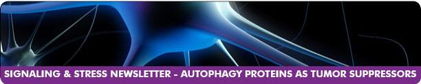 Signaling and Stress Newsletter