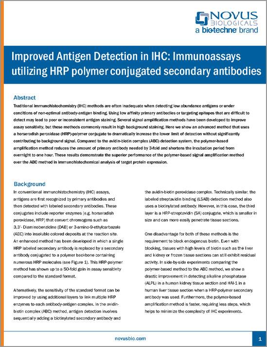 Improved Antigen Detection in IHC: Immunoassays utilizing HRP polymer conjugated secondary antibodies