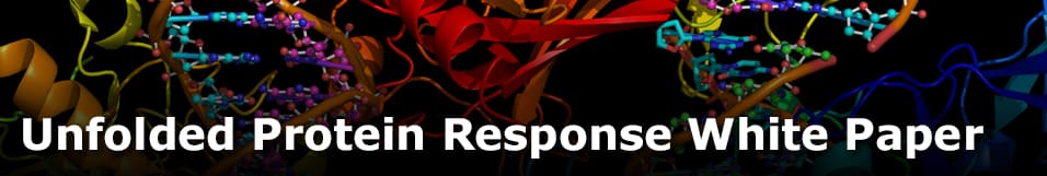unfolded protein response whitepaper
