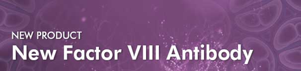 New Factor VIII Antibody