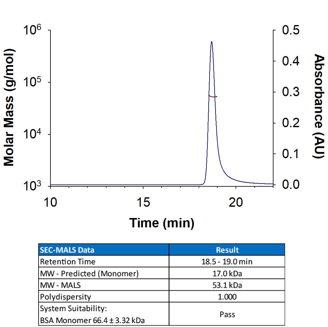 Recombinant Human TNF alpha Protein 210 TA Novus Biologicals