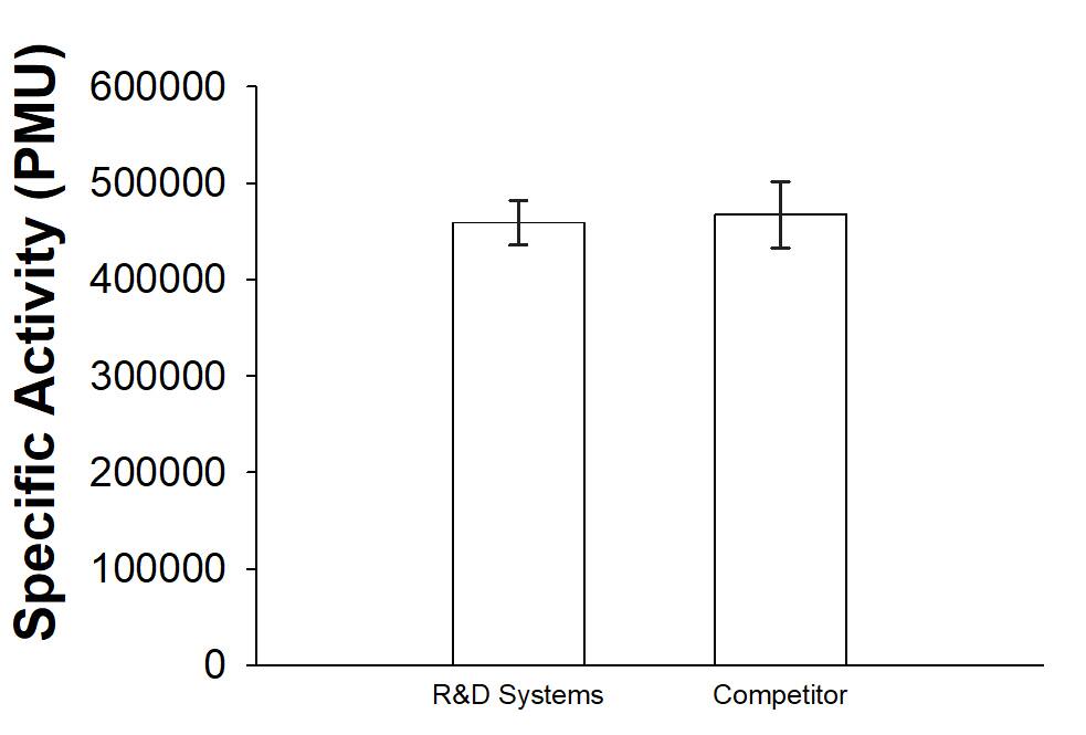 Recombinant S. marcescens NucA nuclease Protein, CF (Catalog # 10038-NAB) from R&D Systems and a competitor have similar Specific Activity (pmol/min/µg) measured by its ability to hydrolyze DNA from salmon testes in direct side-by-side comparison using the insert assay protocol described. 