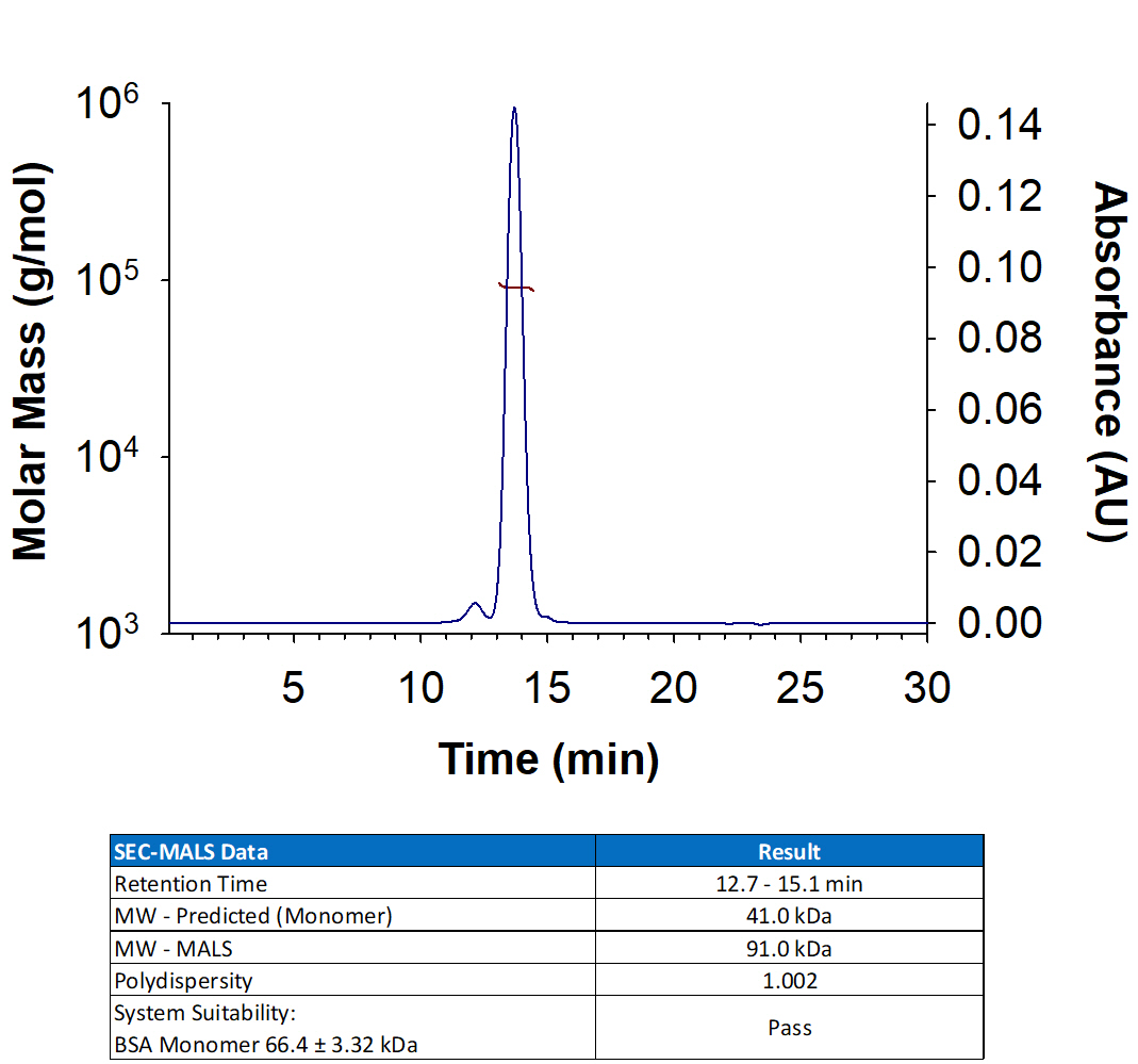 Recombinant Human Ly6K Fc Chimera Protein (Catalog # 10648-L6) has a molecular weight (MW) of 86-96 kDa as analyzed by SEC-MALS, suggesting that this protein is a homodimer. MW may differ from predicted MW due to post-translational modifications (PTMs) present (i.e. Glycosylation).
