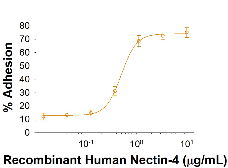 Recombinant Human Nectin-4 Fc Chimera (10682-N4) supports the adhesion of NIH-3T3 mouse embryonic fibroblast cells. The ED50 for this effect is 0.35-4.20 μg/mL.