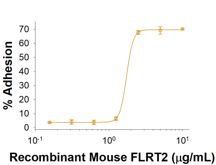 Recombinant Mouse FLRT2 His-tag (Catalog # 10715-FL) supports the adhesion of Neuro 2A mouse neuroblastoma cells. The ED50 for this effect is 0.60-4.80 μg/mL.
