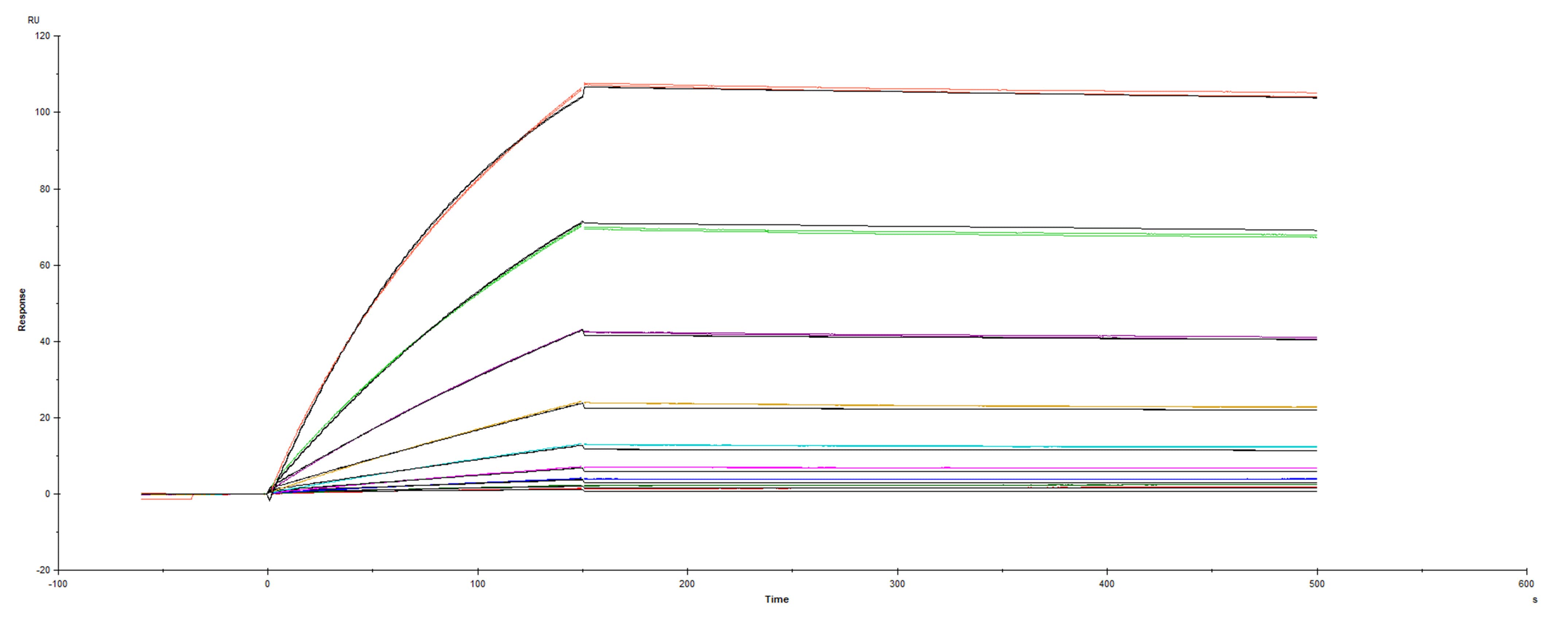 Surface Plasmon Resonance (SPR) Spike RBD [Unconjugated]
