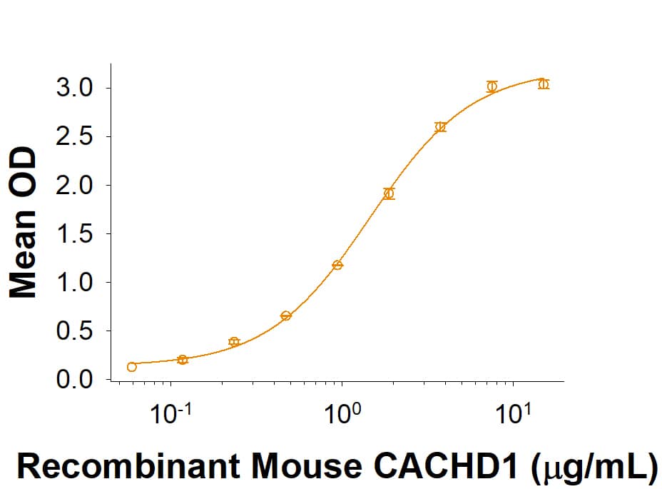 Recombinant Mouse CACHD1 Fc Chimera (Catalog # 10754-CA) binds Recombinant Human/Mouse Wnt-5a Biotinylated Protein (BT645). The ED50 for this effect is 0.60-4.80 μg/mL. 