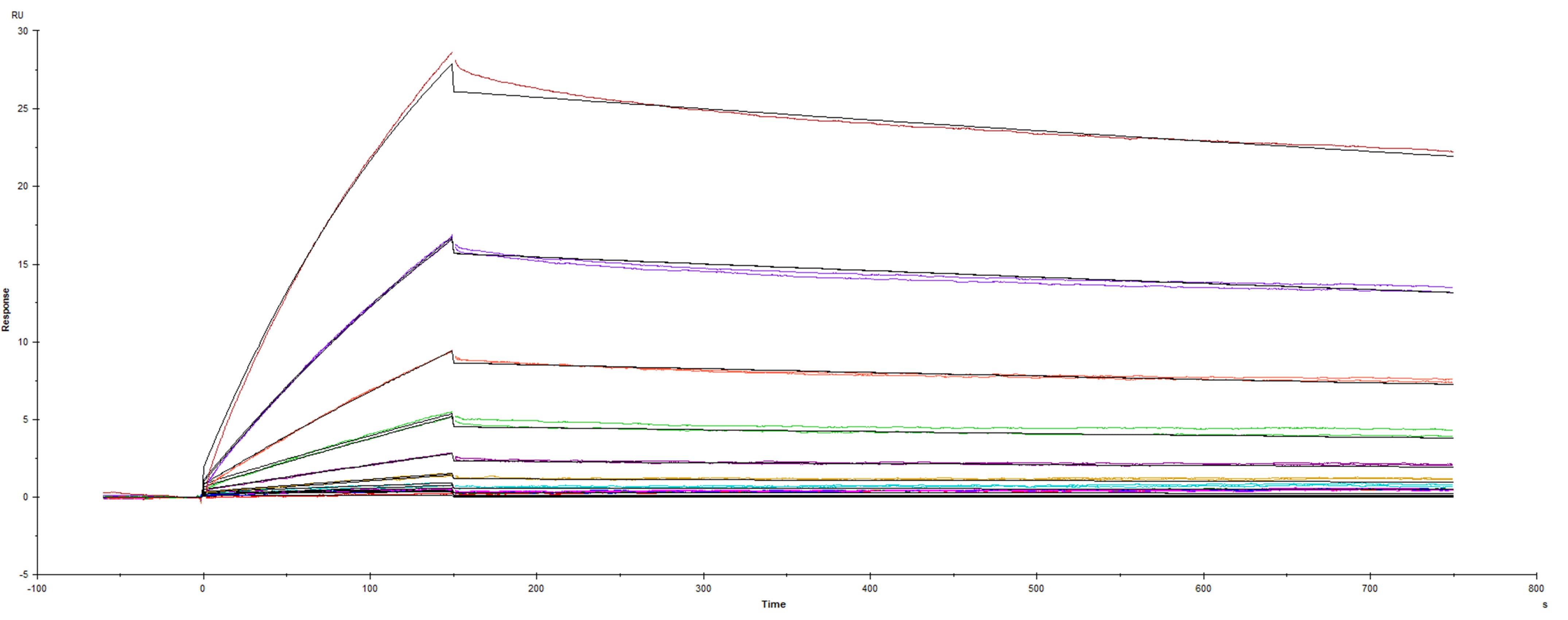 Recombinant SARS-CoV-2 20C-US variant Spike protein was immobilized on a Biacore Sensor Chip CM5, and binding to recombinant human ACE-2 (<a class=