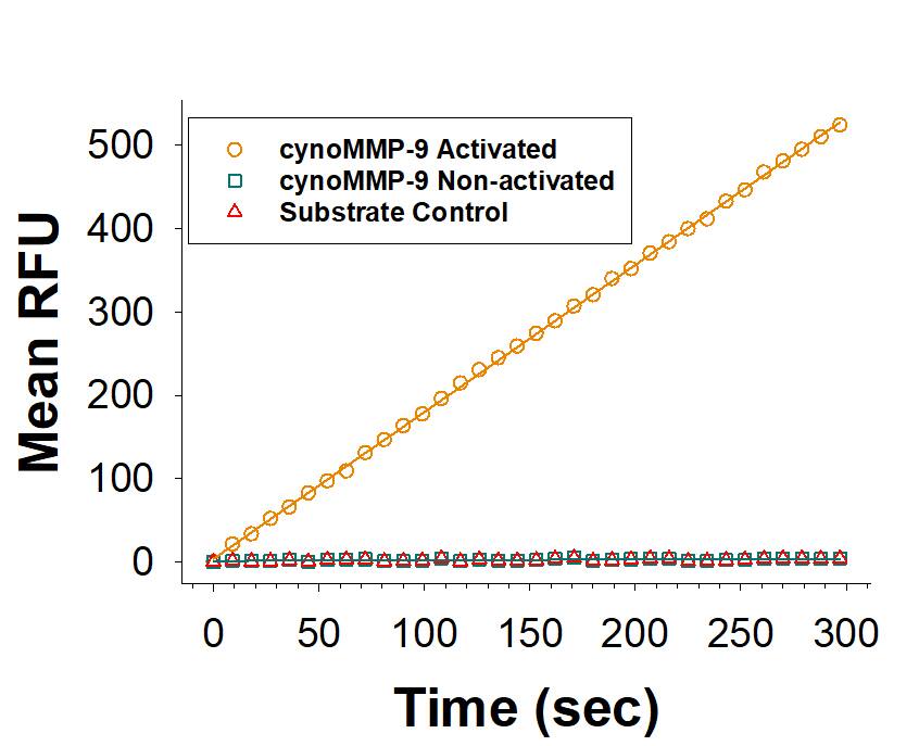 Recombinant Cynomologous Monkey MMP-9 Protein (Catalog # 10833-MP) is measured by its ability to cleave the fluorogenic peptide substrate, Mca-PLGL-Dpa-AR-NH2 (ES001). 