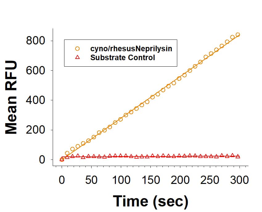 Enzyme Activity Neprilysin/CD10 [Unconjugated]