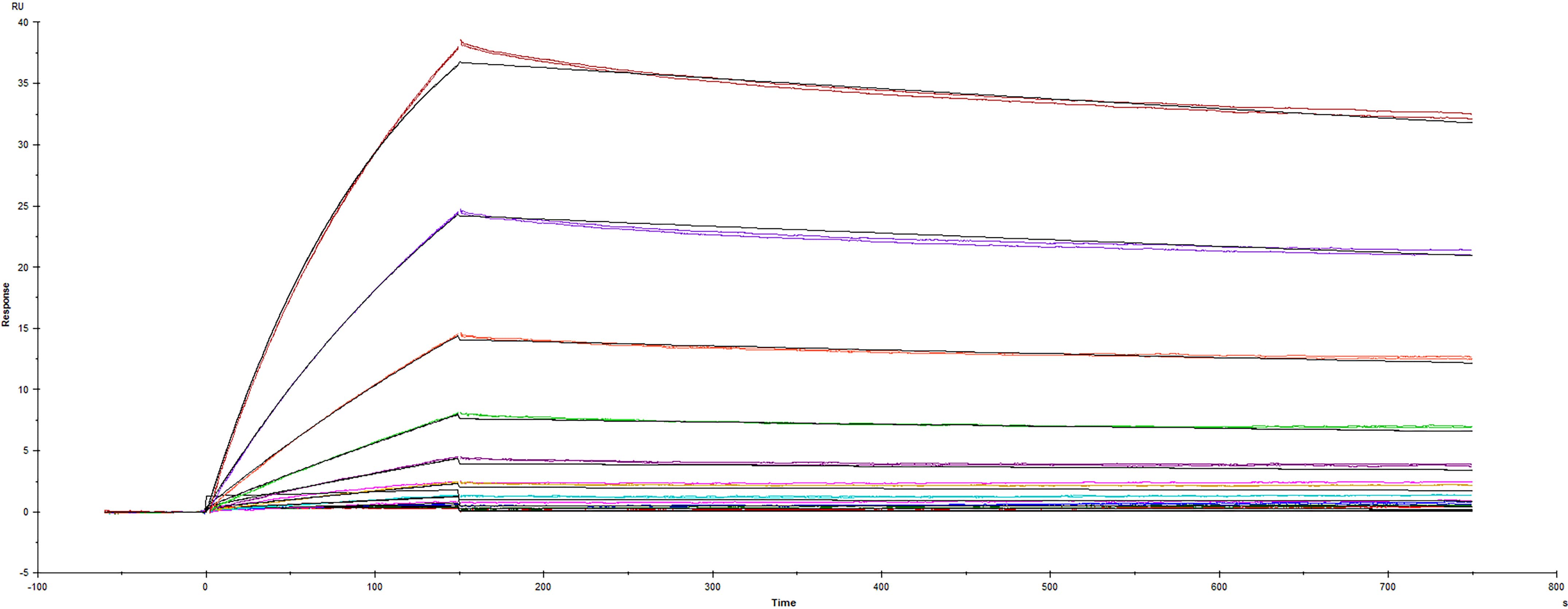 Surface Plasmon Resonance (SPR) SARS-CoV-2 Spike [Unconjugated]