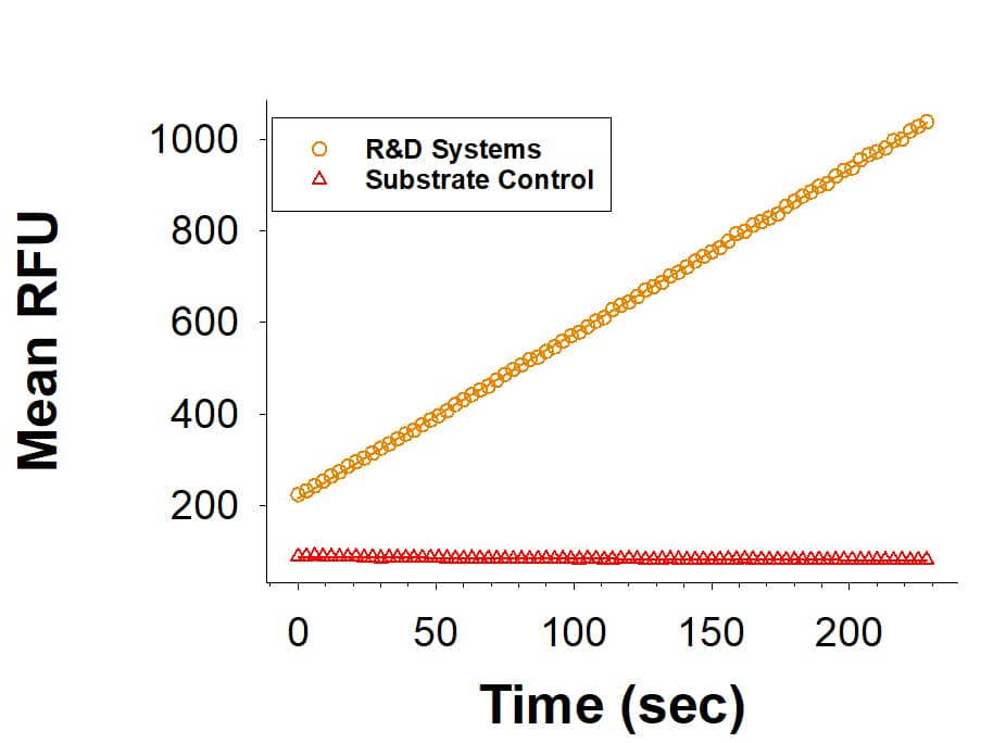 Enzyme Activity Fibroblast Activation Protein alpha/FAP [Unconjugated]