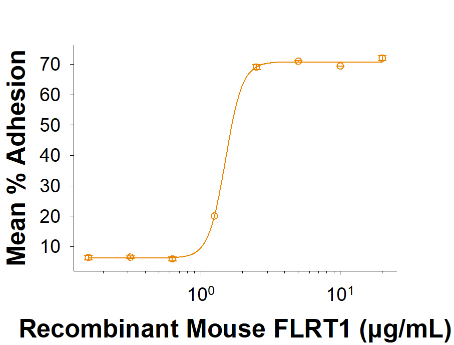Recombinant Mouse FLRT1 His-tag Protein (Catalog # 10955-FL) supports the adhesion of Neuro 2A mouse neuroblastoma cells. The ED50 for this effect is 0.500-4.00 µg/mL.